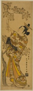 Tanzaku Okuyan Genç Kadın Kiraz Ağacına Bağlanmış by Ishikawa Toyonobu