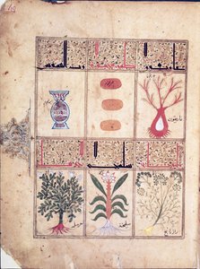 Ms. Arabe 2964 fol.49 Galien