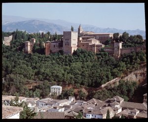 Alhambra kalesi ve sarayının görünümü by Islamic School