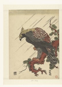 Yağmurda çam dalı üzerinde kartal by Isoda Koryusai