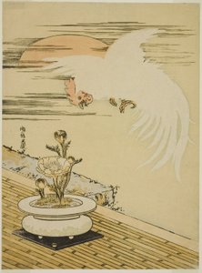 Adonis Pot Üzerinde Uçan Horoz by Isoda Koryusai