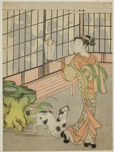 Nezaketçi Shoji