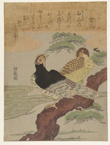 Dondervogels Raicho (nesne üzerindeki başlık) by Isoda Koryusai