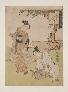 Shiseki