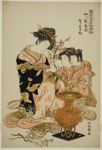 Yotsumeya