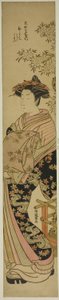 Okanaya'nın Fahişe Shirotae'si by Isoda Koryusai