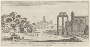 Campo Vaccina