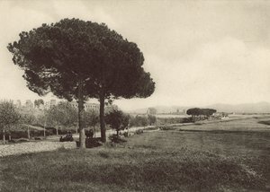 Yeni Appian Yolu üzerinde Claudius Su Kemeri by Italian Photographer