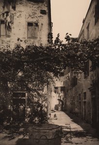 Corte Dolfin, Castello
