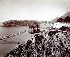 Montecarlo