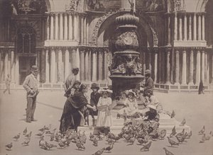 Piccioni (s/b fotoğraf) by Italian Photographer