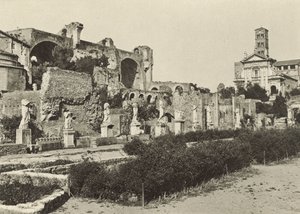 Roma Forumu, Konstantin Bazilikası, Romulus Tapınağı ve Vesta Bakireleri Evi by Italian Photographer