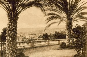 San Remo, Fra le Palme (s/b fotoğraf) by Italian Photographer
