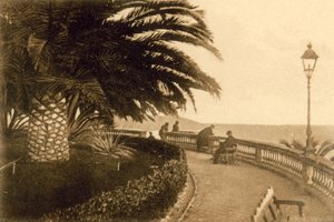 San Remo, Giardini Regina Elena (s / b fotoğraf) by Italian Photographer
