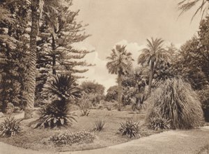 Sicilya / Sicilya: Villa Tasca, Palermo (b/w fotoğraf) by Italian Photographer
