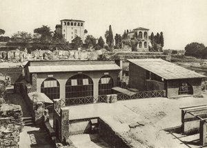 Palatine, Livia Evi by Italian Photographer