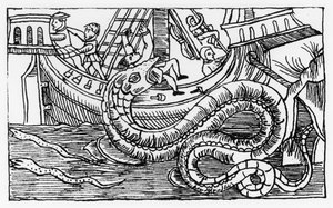 Olaus Magnus