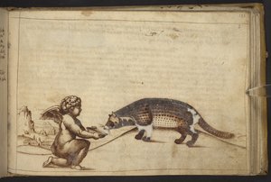 Ekle. 82955, f.193   Cherub ve bir yaratık.  , Historia Animalium