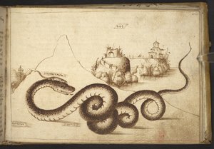 Ekle. 82955, f.242 Bir yılan (