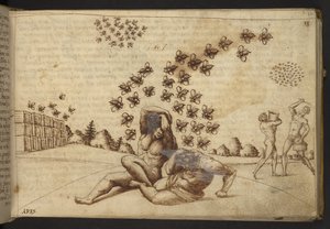 Ekle. 82955, f.60   Arılar (