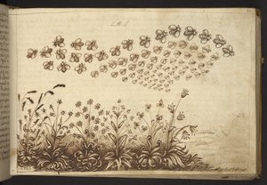 Ekle. 82955, f.64 Arılar (