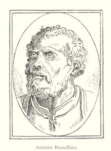 Antonio Rossellino (gravür) by Italian School