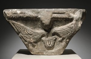 Kuşlarla Başkent, 700