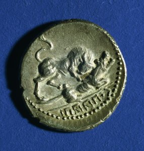 Roma dişi kurduna saldıran bir boğayı gösteren İtalik Kabilelerin Sikkesi, MÖ 89-90 (gümüş)