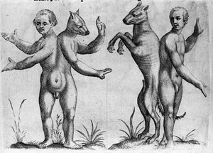 Farklı insan canavar türleri: çift gövdeli iki yaratık, yarı insan ve köpek (Siyam). İtalyan bilim adamı Fortunio Liceti (1577-1656) tarafından "De monstrorum natura, causis et Differentiis" adlı gravür. 1646 by Italian School