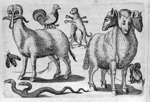 Birden fazla gövdeye veya anormal miktarda uzuvlara sahip farklı canavar türleri. İtalyan bilim adamı Fortunio Liceti (1577-1656) tarafından "De monstrorum natura, causis et Differentiis" adlı gravür. 1646 by Italian School