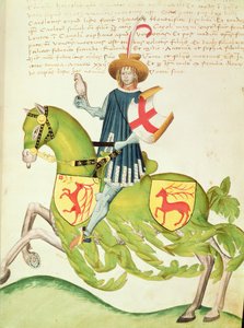 Falconer, 