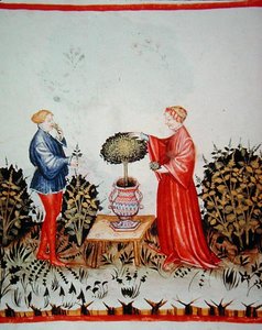 Fol.39v Basilicum Curatum