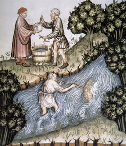 Fol.84r Balık Tutma, Tacuinum Santiatis Codex Vindobonensis