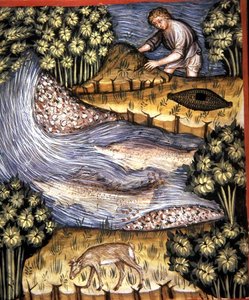 Fol.84v Amber, 