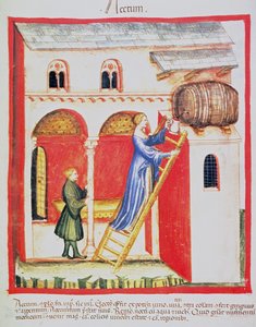 Fol.85v Sirke, Tacuinum Santiatis Codex Vindobonensis