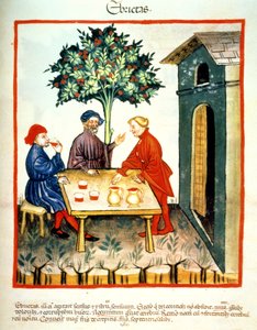 Fol.99r Sarhoşluk, Tacuinum Santiatis Codex Vindobonensis