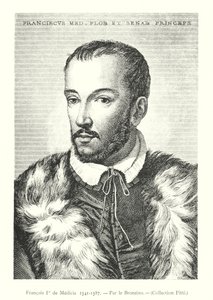 François Ier de Medici by Italian School