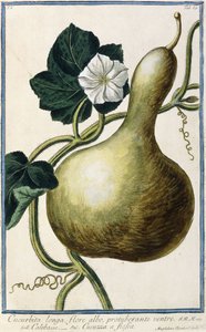 Kabak, 1772-1784 by Italian School