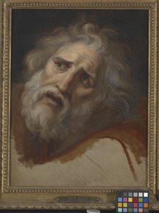 Laocoon'un Başı (tuval üzerine yağlıboya) by Italian School