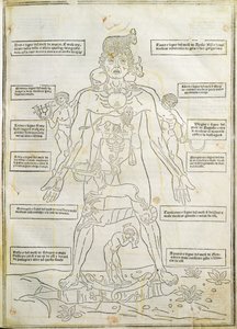 'Fassiculus Medicinae' Venedik'ten bir çizim by Italian School