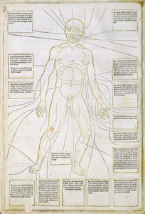 'Fassiculus Medicinae' Venedik'ten bir çizim by Italian School