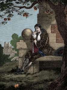 Isaac Newton, bir ağacın altında otururken bir elmanın yere düştüğünü gözlemler. by Italian School