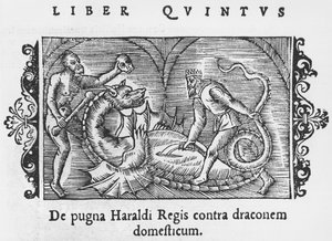 Kral Harald bir ejderhayla savaşıyor, Olaus Magnus'un (1490-1558) Kuzey Ulusları Tarihinden bir örnek, Roma'da yayınlandı, 1555 by Italian School