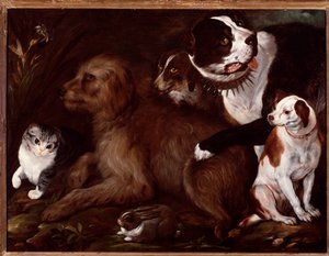 İtalyan okulundan bir kedi ve bir tavşanla Medici köpekleri by Italian School