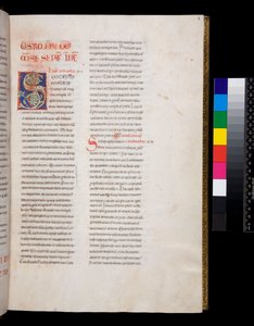 Bayan 143. Büyük Gregory, Registrum Epistolarum, f.8r. Beyaz asma yaprağı dolgulu ve süslemeli dekore edilmiş ilk [S] by Italian School
