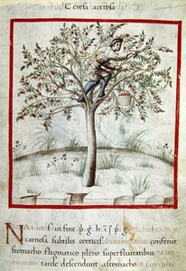 Ms 3054 f.25 