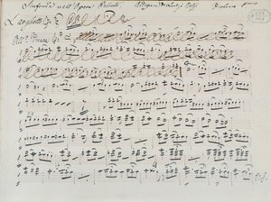 Donizetti