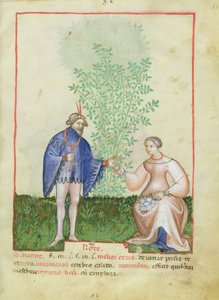 Nouv Acq Lat 1673 fol.83 Güller, Tacuinum Sanitatis