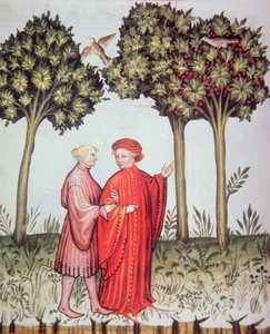 Nova 2644 fol.102v Tacuinum Sanitatis Codex Vindobonensis