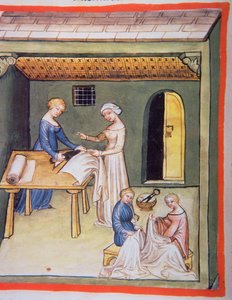 Nova 2644 fol.105v Terziler Dükkanı: Tacuinum Sanitatis